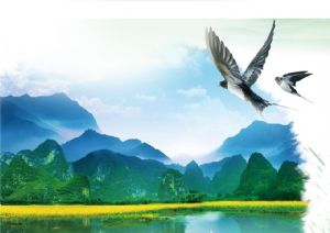 聚焦高考——綠水青山，我們押中了！