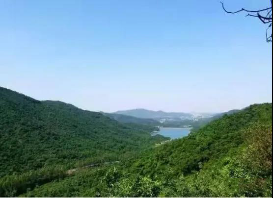 筑牢“防火墻” 守護(hù)生態(tài)屏障——中山啟用森林智能哨衛(wèi)系統(tǒng)