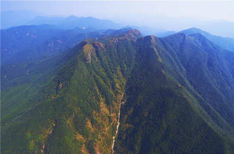 云?。簢?yán)防森林火災(zāi) 堅(jiān)決守護(hù)綠水青山