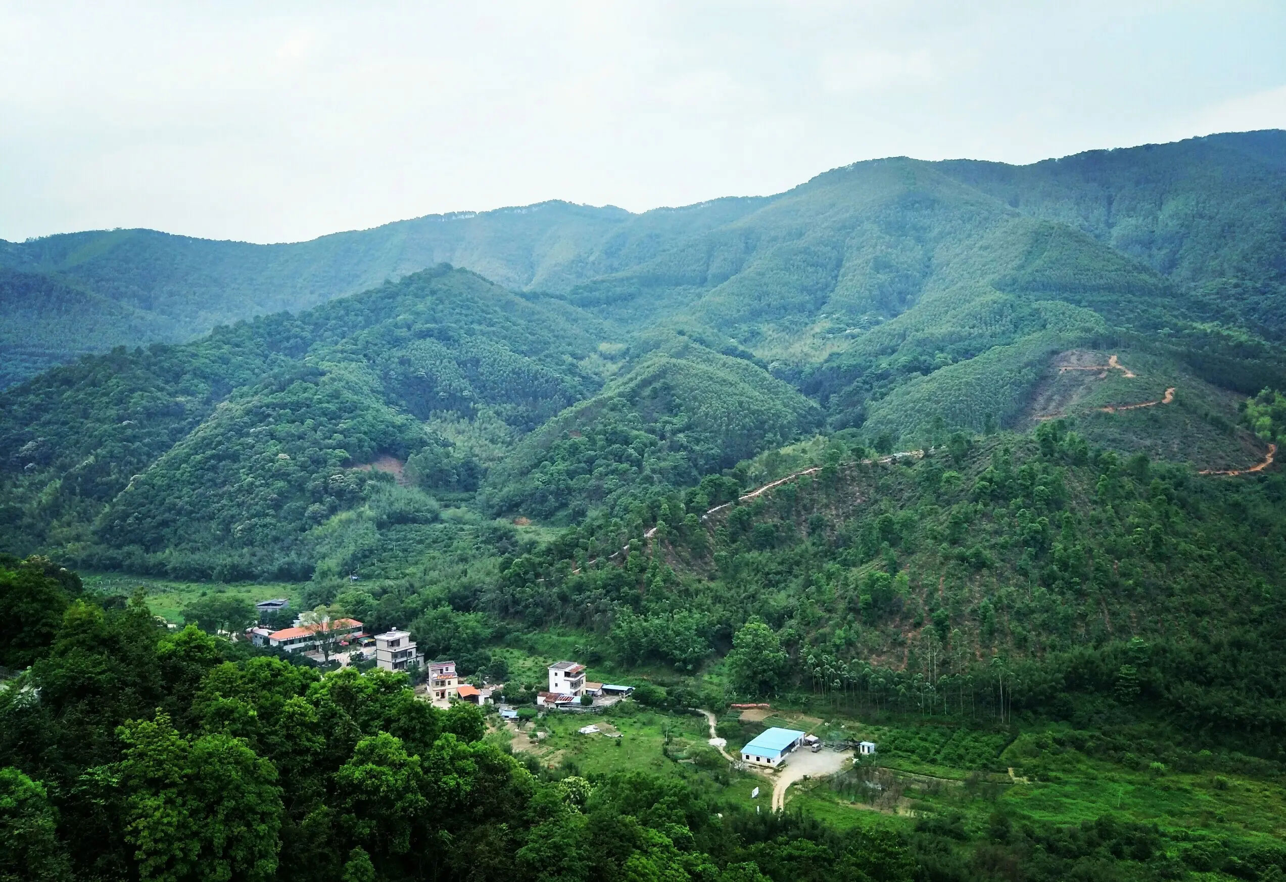 廣東象頭山保護(hù)區(qū)第二次綜合科學(xué)考察工作啟動